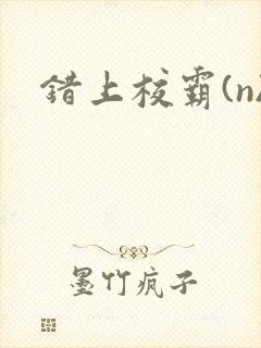 错上校霸(n)封面