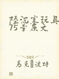 陆沉塞玩具高速75章原文