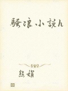 骚浪小说h封面