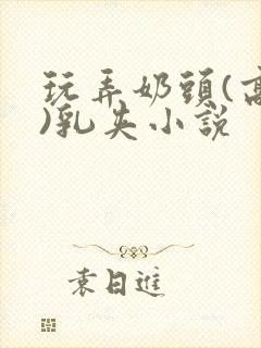 玩弄奶头(高h)乳夹小说