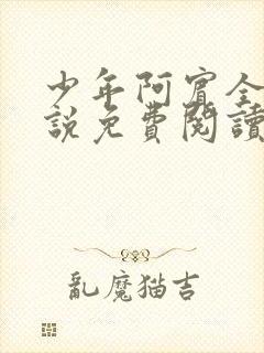 少年阿宾全文小说免费阅读笔趣阁