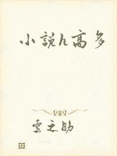 小说h高多