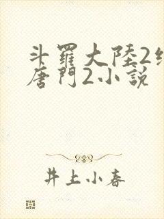 斗罗大陆2绝世唐门2小说