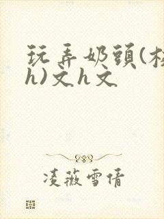 玩弄奶头(校园h)文h文