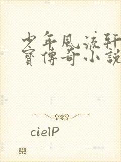 少年风流轩辕大宝传奇小说