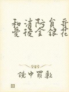 和消防员哥哥恋爱后金银花趣笔阁封面