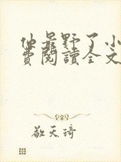 他最野了小说免费阅读全文