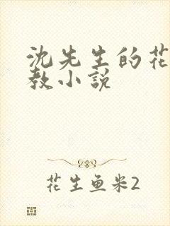 沈先生的花式调教小说封面