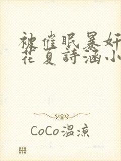 被催眠暴奸的校花夏诗涵小说