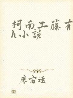 柯南工藤有希子h小说