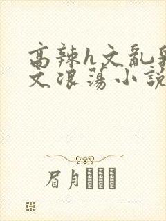 高辣h文乱乳h文浪荡小说苏菲亚