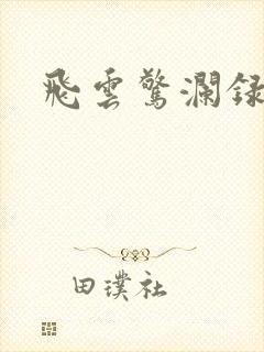 飞云惊澜录封面