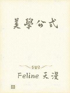 美学公式