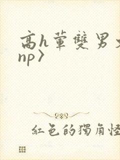 高h荤双男文〈np〉
