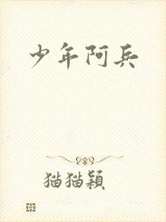 少年阿兵封面