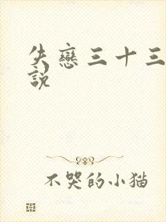 失恋三十三天小说封面