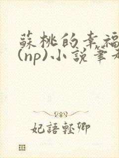 苏桃的幸福生活(np)小说笔趣阁