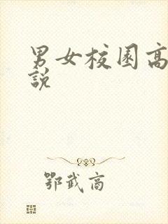 男女校园高h小说
