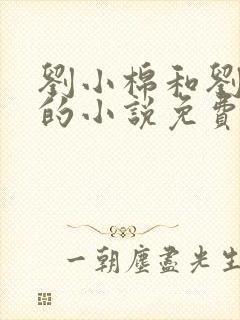 刘小棉和刘易文的小说免费阅读