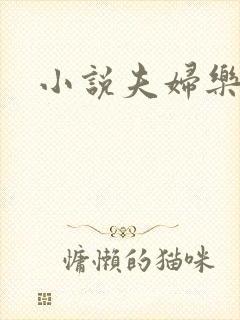 小说夫妇乐园封面