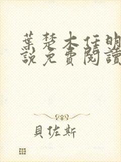 叶楚木任明曦小说免费阅读最新章节封面