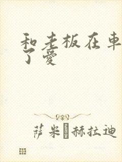 和老板在车里做了爱