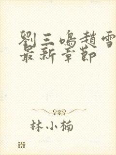 刘三鸣赵雪小说最新章节封面