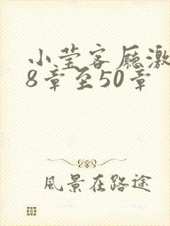 小莹客厅激情38章至50章封面