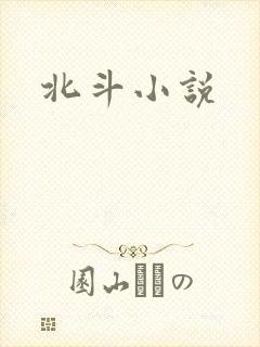 北斗小说