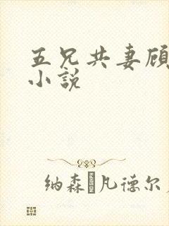 五兄共妻顾心儿小说封面