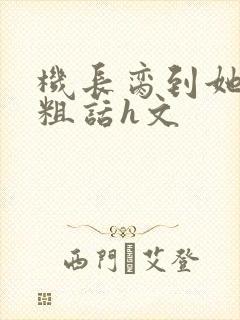 机长脔到她哭h粗话h文封面