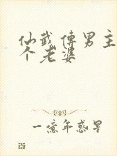 仙武传男主有几个老婆