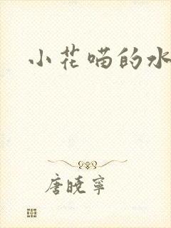 小花喵的水蜜桃封面