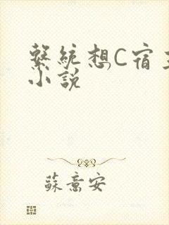 系统想C宿主的小说