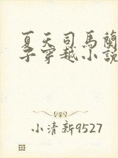夏天司马兰九皇子穿越小说笔趣阁