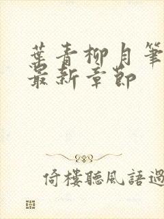 叶青柳月笔趣阁最新章节