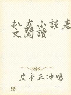 扒灰小说老马全文阅读