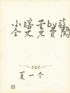 小瞎子by苏软全文免费阅读