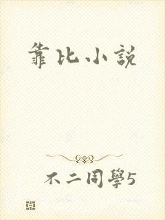 靠比小说