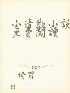 小清欢小说全文免费阅读
