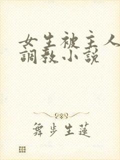 女生被主人sm调教小说封面