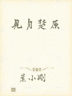 见月楚原