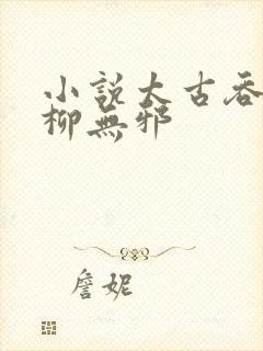 小说太古吞天诀柳无邪