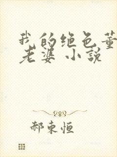 我的绝色董事长老婆 小说