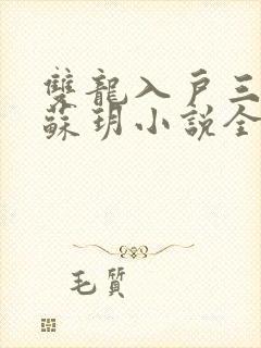 双龙入户三人行苏玥小说全文阅读