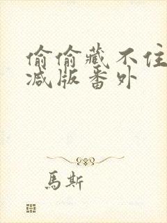 偷偷藏不住未删减版番外