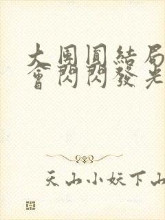 大团圆结局亲情会闪闪发光封面