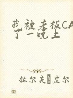 我被老板CAO了一晚上