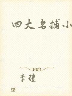 四大名捕小说封面