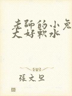 老师的小兔子好大好软水